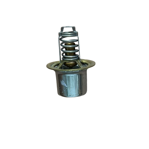 Termostato - 870070